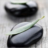 black_stones_and_leaves_stock_photo_170410