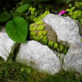 stones pic 2 for blog