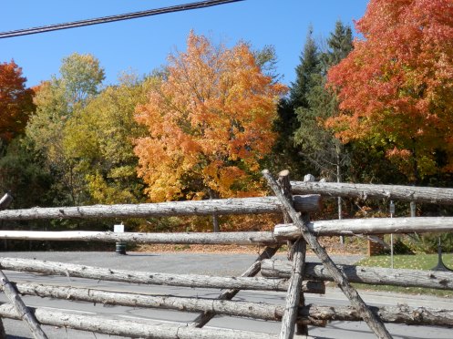 PHOTO: CAROL A. STEPHEN